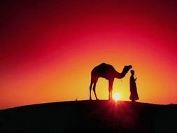 man with a camel on a hill at sunset