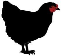 17 Chicken Silhouette Frees That You Can Download To