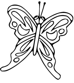 Lds Butterfly