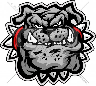 Bulldog Cartoon Face Vector Illustration Team Com Quality