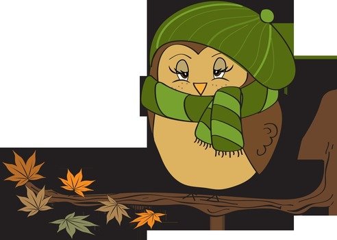 Fall Owl drawing