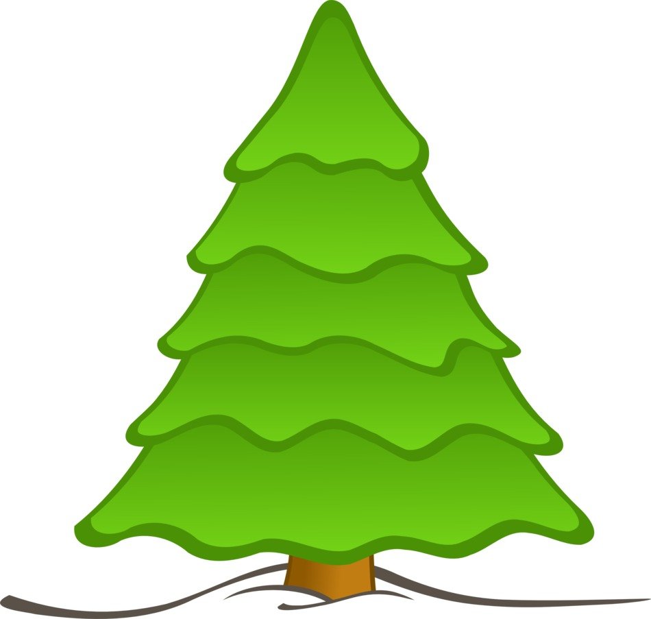 isolated green Christmas tree
