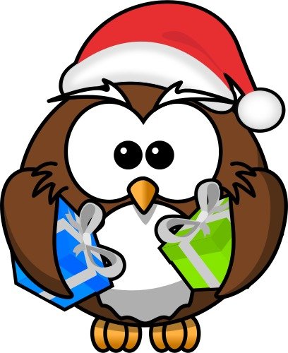 Santa Owl By Bocian