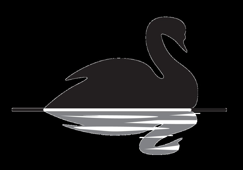 drawing of a swan with reflection in water on a black background