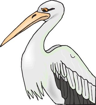 Pelican With Sharp Beak At Clkercom Vector Online N2