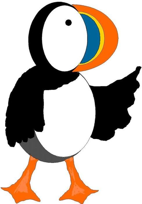 drawn toucan on a white background