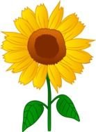 Clip Art of the sunflower
