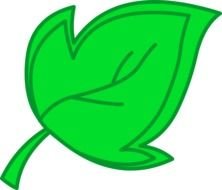 Grapes Clipart drawing