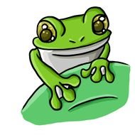 Frog 19 Panda Free Images