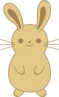 Cute Brown Bunny drawing