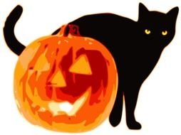 black cat and Halloween pumpkin drawing