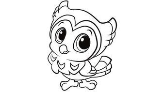 drawing of a cute little owl