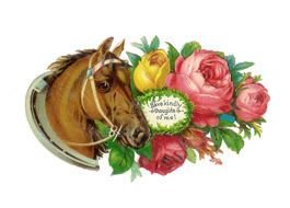 horse head and a bouquet of roses on a postcard