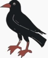 Crow Black And White Panda Free Images N4