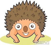 Related Pictures Cartoon Hedgehog Graphic