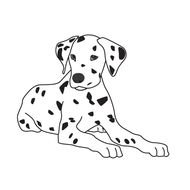 Black And White dog drawing