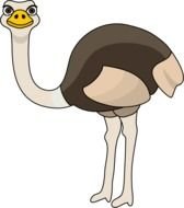 Clip Art Of Hawk And Ostrich