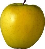 yellow-green apple on a white background