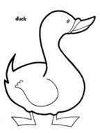 duck as a picture for clipart