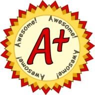 Award Medal A Plus