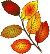 Autumn Leaf At Clkercom Vector Online Royalty