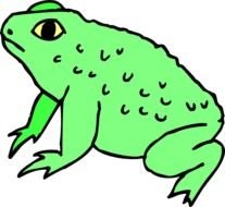 Warty Frog At Clkercom Vector Online Royalty