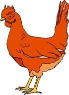 orange Chicken drawing