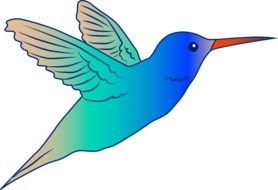Bird Teachers drawing