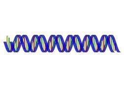 Double Helix Color
