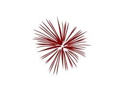 clipart of the Firework Silhouette