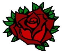 open rose drawing