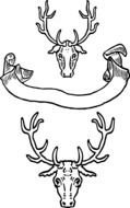 Vintage banner and deer heads, Black And White drawing