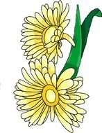 painted two yellow flowers