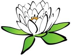 lotus on black as a picture for clipart