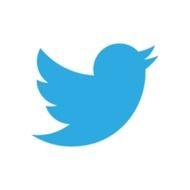 blue bird tweeter