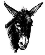 Donkey Silhouette drawing