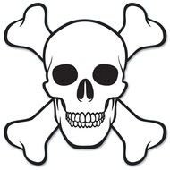 Bow Skull drawing