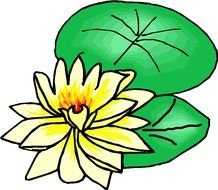Lotus Flower Free Get This