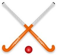 Hockeystick Hockey Puck Bal Games Sport Gekruist