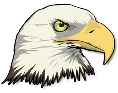 white head of a eagle as a graphic image