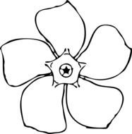 drawn periwinkle flower