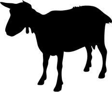 black Goat Silhouette drawing