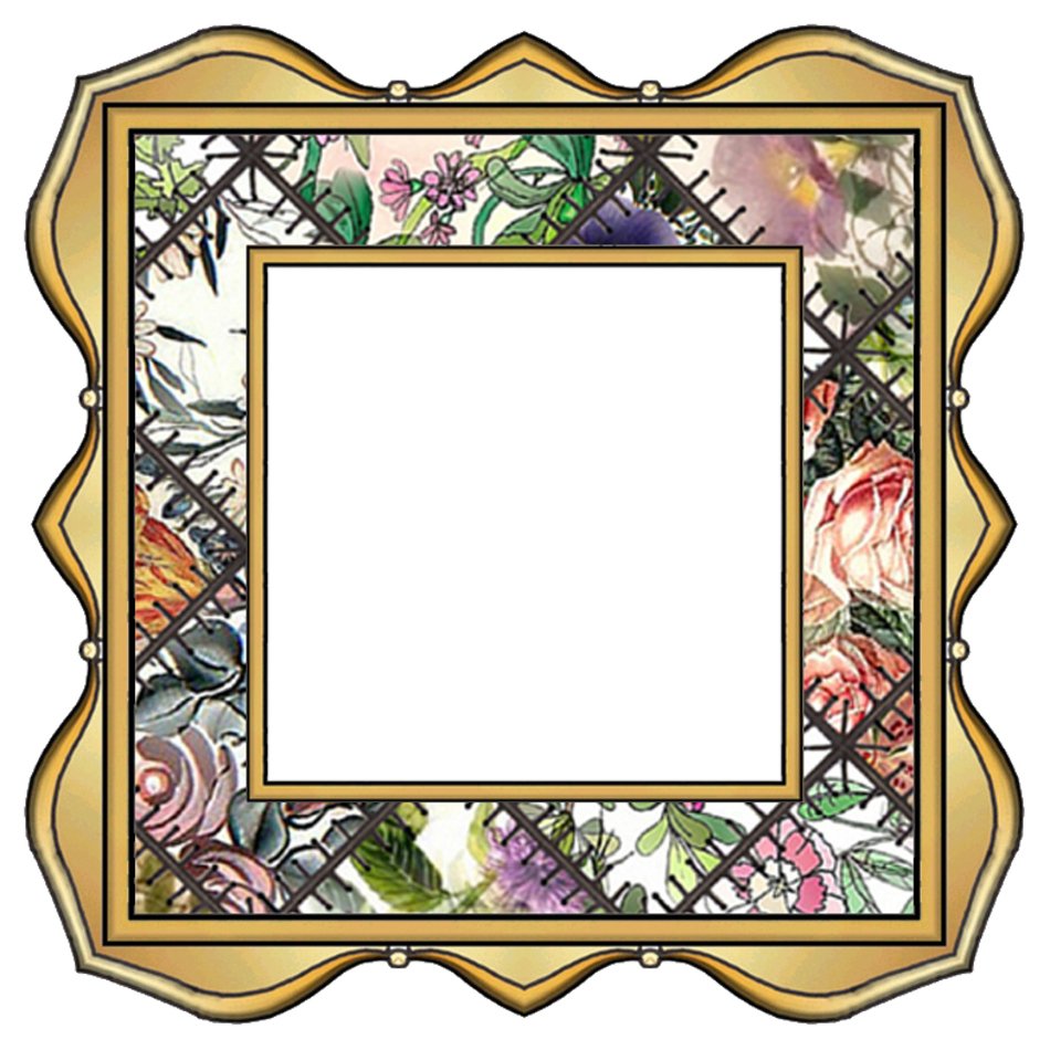 Camouflage Border Sco