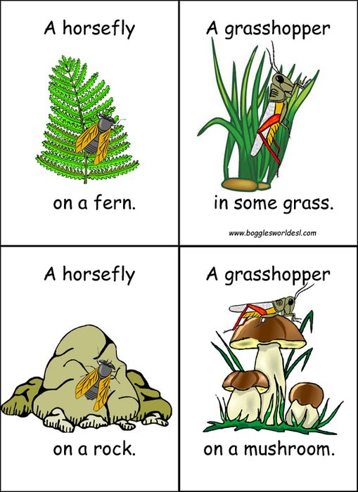 Insect Picture Word Cards Prekinders Search Results Loans