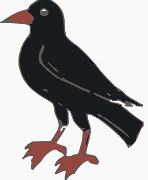 Crow Black And White Panda Free Images N4