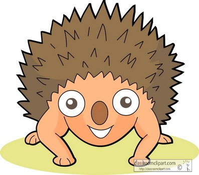 Related Pictures Cartoon Hedgehog Graphic