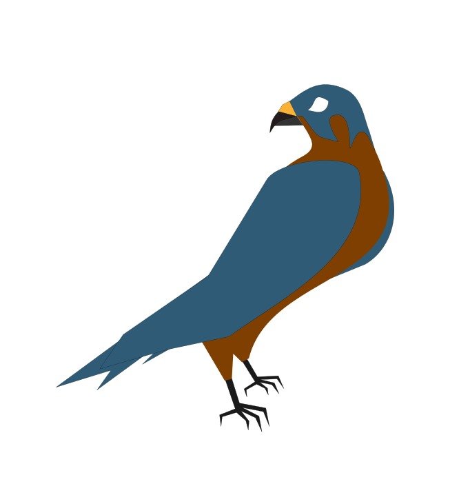 Falcon Vector Clip