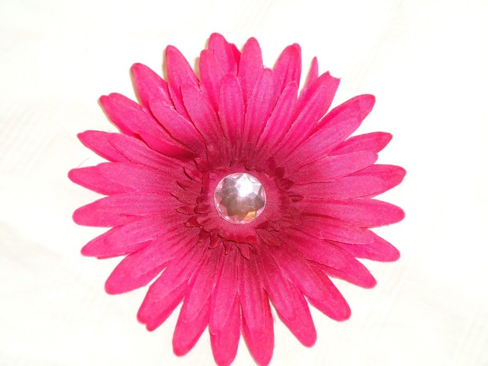 pink flower with petals on a white background