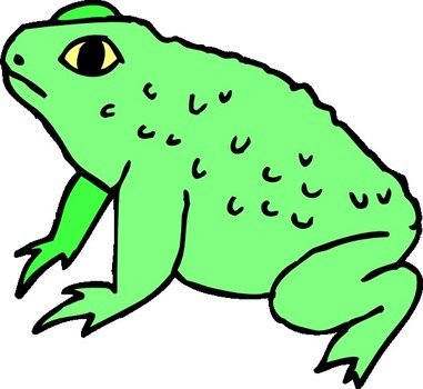 Warty Frog At Clkercom Vector Online Royalty