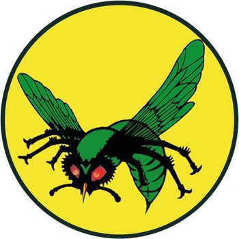 green fly on a yellow circle